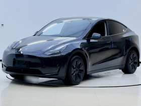 特斯拉 Model Y 2024款 长续航全轮驱动版