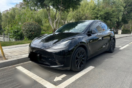 特斯拉 Model Y 2022款 后轮驱动版