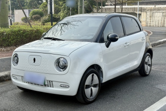 欧拉黑猫 2021款 301km 基础型