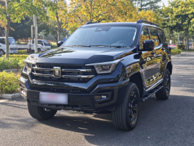 坦克400 2025款 2.0T 汽油版