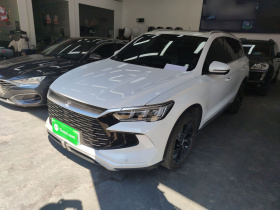 比亚迪 宋Pro新能源 2023款 冠军版 DM-i 110KM卓越型