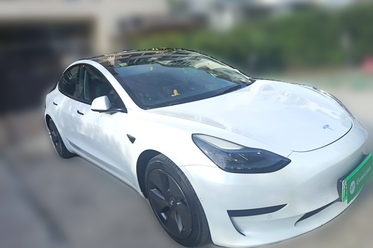 特斯拉 Model 3 2021款 标准续航后驱升级版车身外观6002