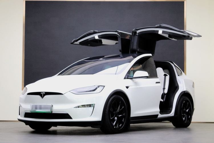 特斯拉 Model X 2023款 双电机全轮驱动版车身外观6001