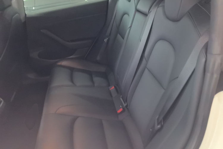 特斯拉 Model 3 2020款 改款 长续航后轮驱动版中控内饰7004