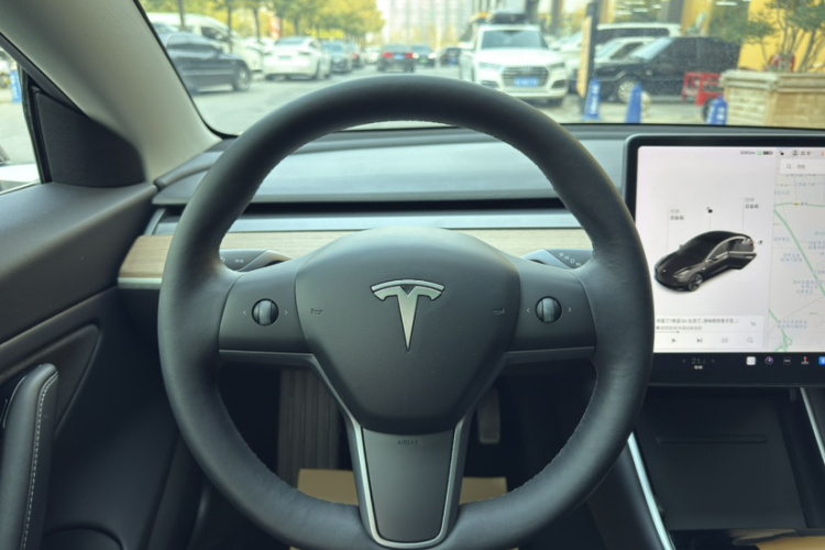 特斯拉 Model 3(进口) 2019款 长续航后驱版局部细节13