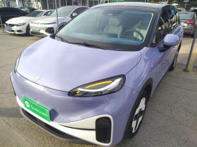 ARCFOX极狐 极狐考拉 2023款 家庭版