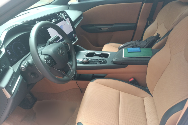 雷克萨斯RZ 2023款 450e 四驱纵享版中控内饰19