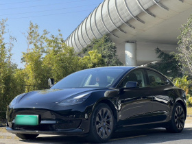特斯拉 Model 3 2021款 标准续航后驱升级版