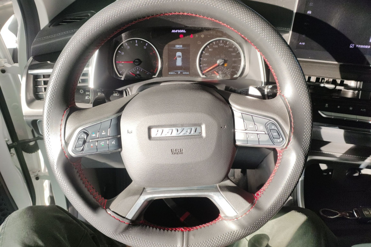 哈弗H6 2021款 国潮版 1.5T 自动都市版局部细节13