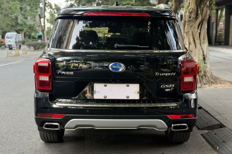 广汽传祺 传祺GS8 2017款 320T 两驱豪华智联版（七座）车身外观6007