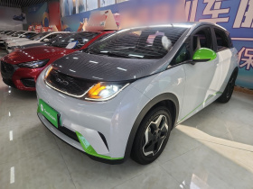 比亚迪 海豚 2021款 405km 时尚版