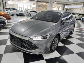 比亚迪 秦PLUS 2023款 冠军版 DM-i 55KM领先型