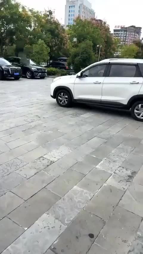 五菱汽车 五菱宏光S3 2018款 1.5L 手动豪华型 国V讲解2