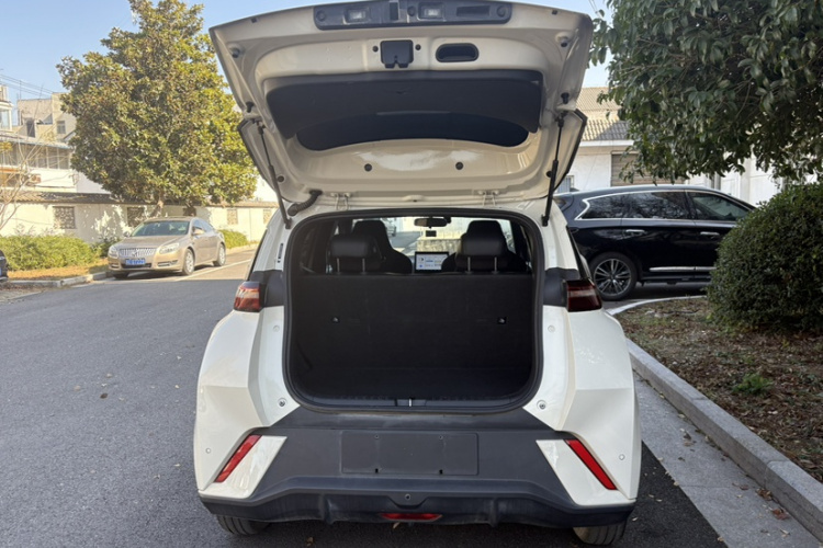 比亚迪 海鸥 2023款 活力版车身外观6005