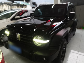 坦克300 2023款 越野版 2.0T 征服者