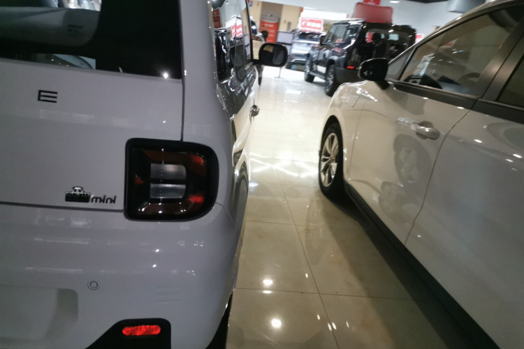 吉利银河 2024款 熊猫mini 200km 耐力熊车身外观9