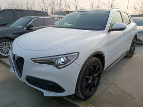 阿尔法·罗密欧 Stelvio斯坦维 2017款 2.0T 200HP 豪华版