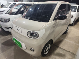 五菱汽车 宏光MINIEV 2024款 第三代 215km 青春版