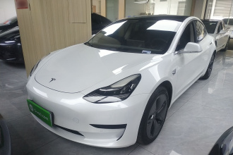 特斯拉 Model 3 2019款 标准续航后驱升级版