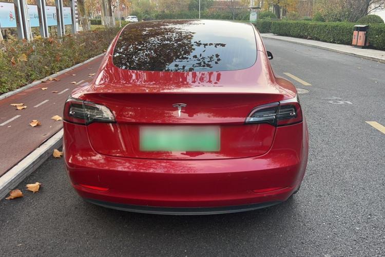 特斯拉 Model 3 2019款 标准续航后驱升级版车身外观6004