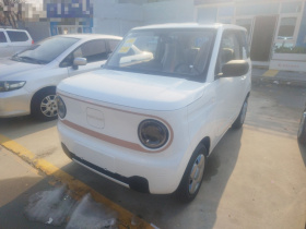 吉利银河 2024款 熊猫mini 200km 耐力熊