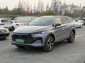 比亚迪 唐新能源 2025款 DM-i 115KM 尊贵型