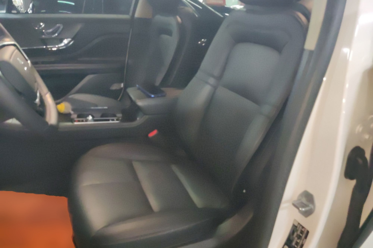 林肯 冒险家 2023款 2.0T 两驱尊雅版中控内饰19