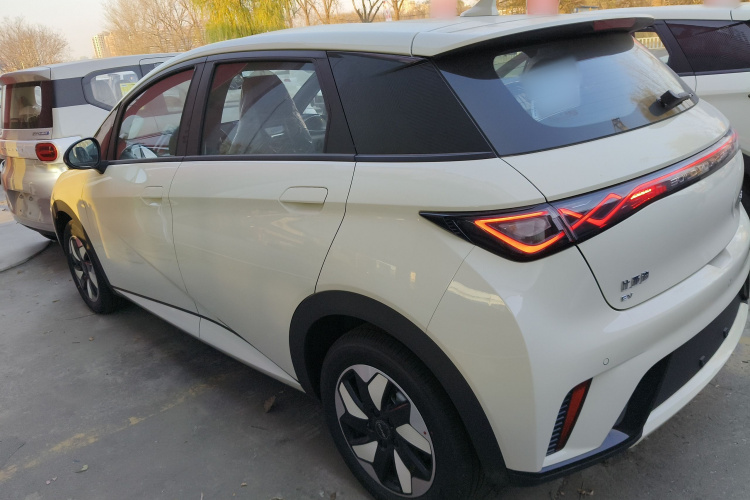 比亚迪 海豚 2025款 420km 自由版车身外观6003