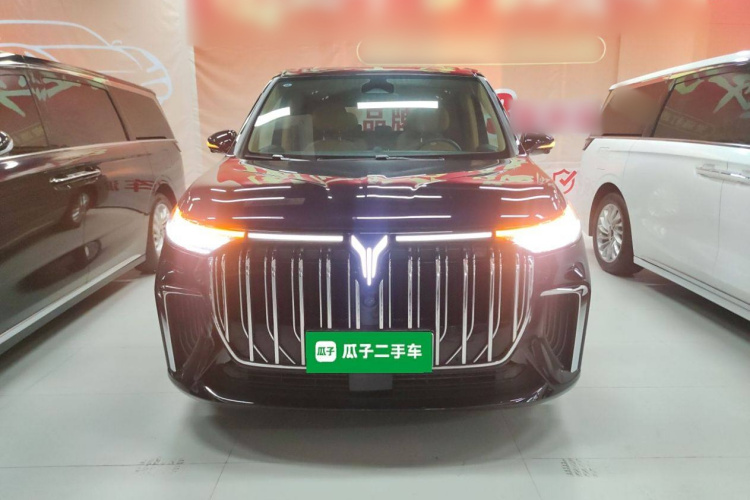 岚图汽车 岚图梦想家 2022款 低碳版 想+智驾包车身外观6001