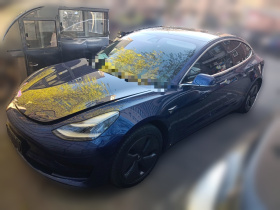 特斯拉 Model 3(进口) 2019款 标准续航后驱升级版(52度)