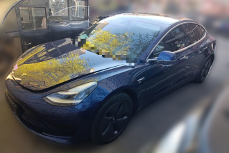 特斯拉 Model 3(进口) 2019款 标准续航后驱升级版(52度)