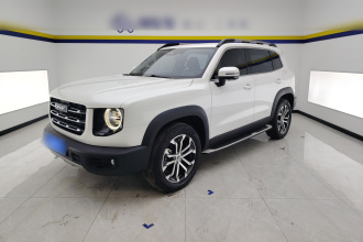 哈弗大狗 2021款 1.5T DCT两驱马犬-旺财版