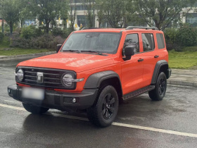 坦克300 2024款 2.0T 挑战者