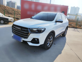 哈弗H6 2021款 国潮版 1.5T 自动冠军版