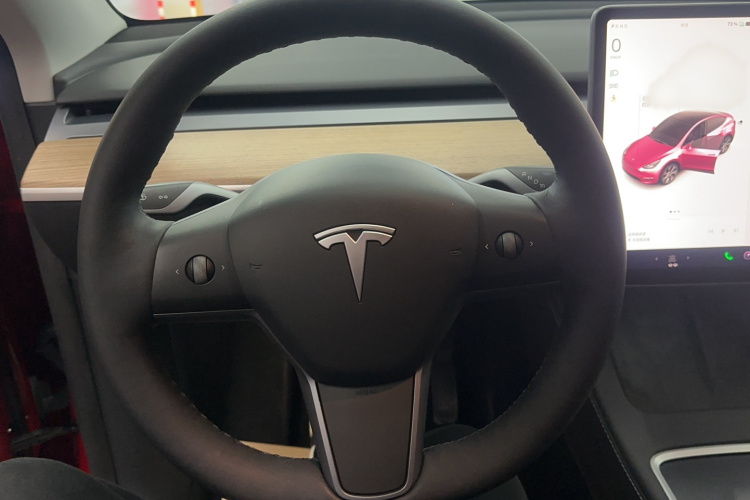 特斯拉 Model Y 2021款 改款 长续航全轮驱动版 3D5局部细节13