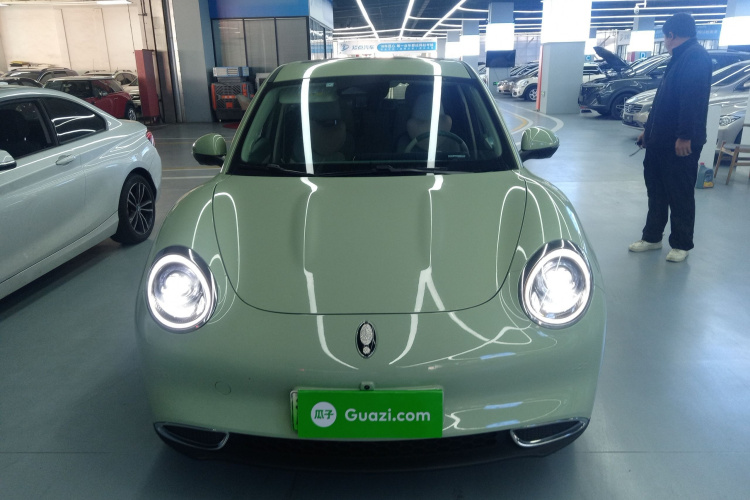 欧拉好猫 2022款 400km标准续航 尊贵型 磷酸铁锂车身外观6001