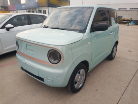 吉利银河 2024款 熊猫mini 200km 耐力熊