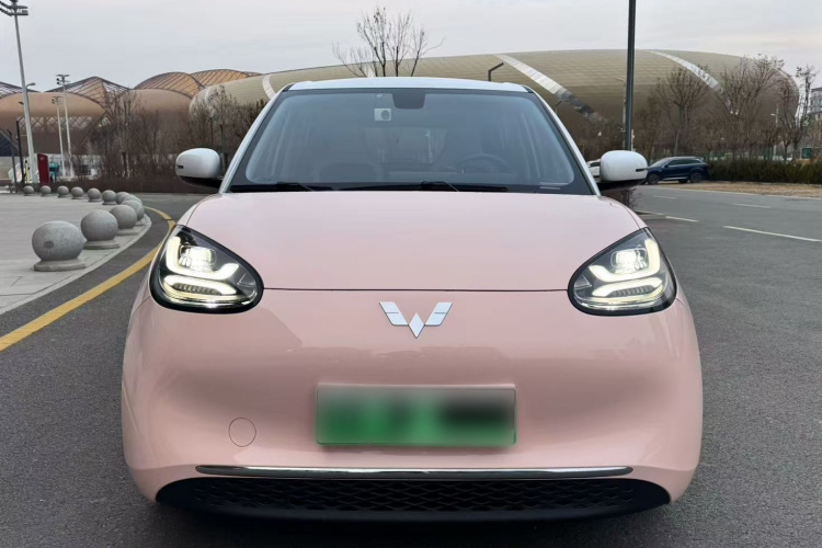 五菱汽车 五菱缤果 2023款 410km 灵犀尊享款车身外观6002