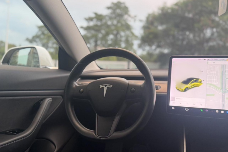 特斯拉 Model 3(进口) 2019款 长续航后驱版局部细节13