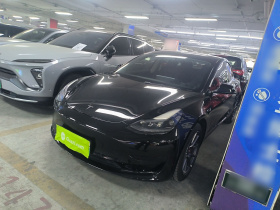 特斯拉 Model 3 2022款 后轮驱动版
