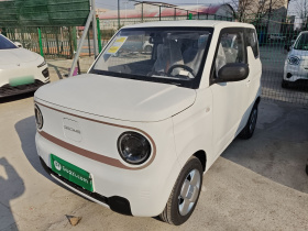 吉利银河 2024款 熊猫mini 200km 耐力熊