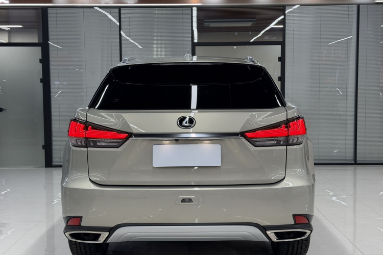 雷克萨斯RX 2020款 300 四驱典雅版 国VI车身外观6005