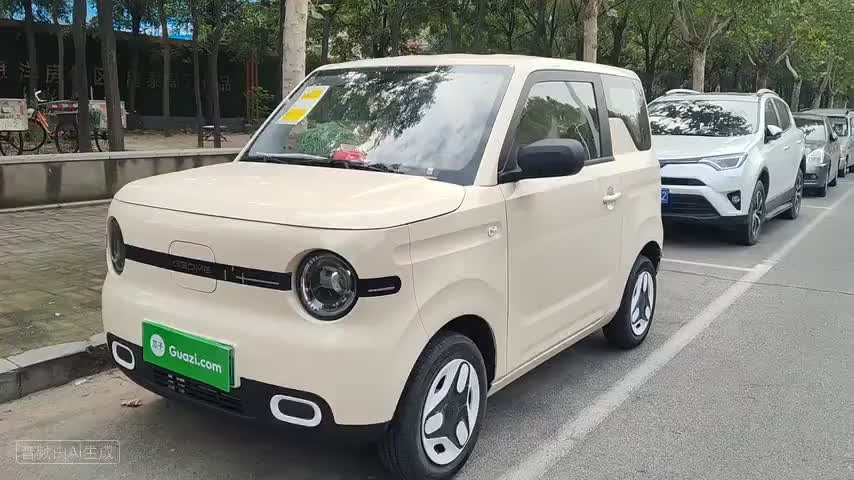 吉利银河 熊猫 2025款 210km 元气熊检测视频1