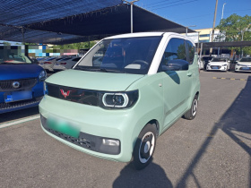 五菱汽车 宏光MINIEV 2021款 马卡龙时尚款 磷酸铁锂