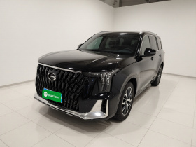 广汽传祺 传祺GS8 2022款 双擎系列 2.0TM 两驱尊贵版 （七座）