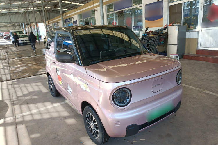 吉利银河 2024款 熊猫mini 200km 耐力熊车身外观3