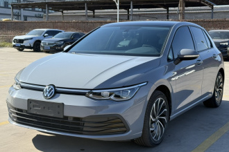 大众 高尔夫 2021款 280TSI DSG Pro