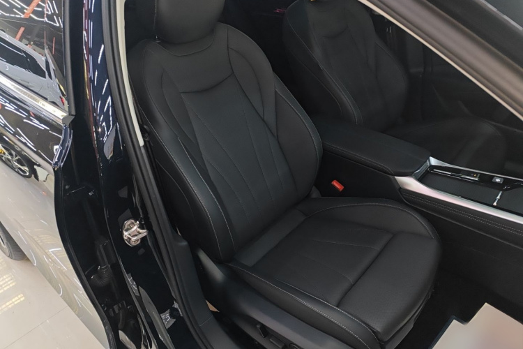 大众 帕萨特 2025款 Pro 380TSI 龙耀版局部细节41