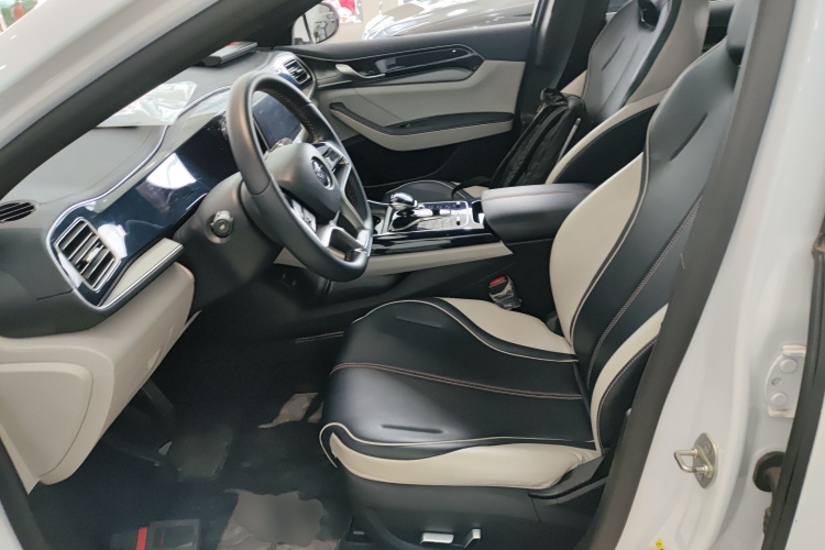 比亚迪 秦PLUS 2021款 EV 500KM 豪华型中控内饰19