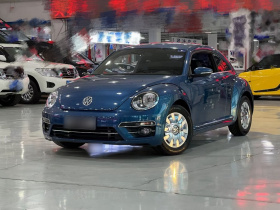 大众 甲壳虫 2018款 180TSI 宜乐型